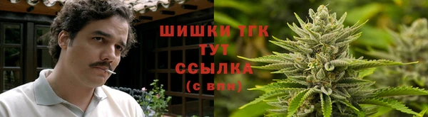 прущие грибы Чекалин
