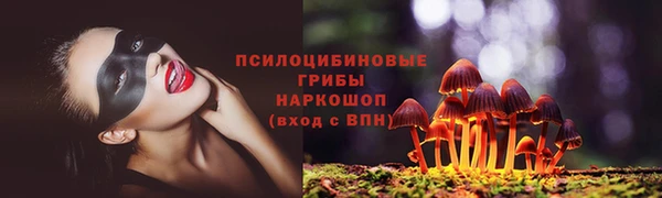 соль курить ск Чердынь