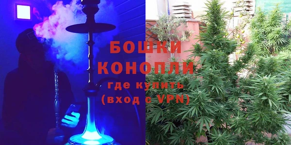 прущие грибы Чекалин