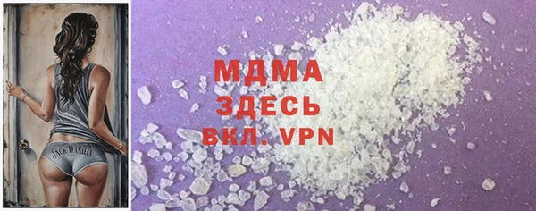 прущие грибы Чекалин