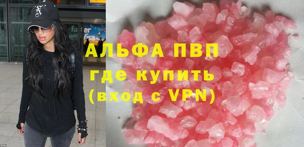 прущие грибы Чекалин