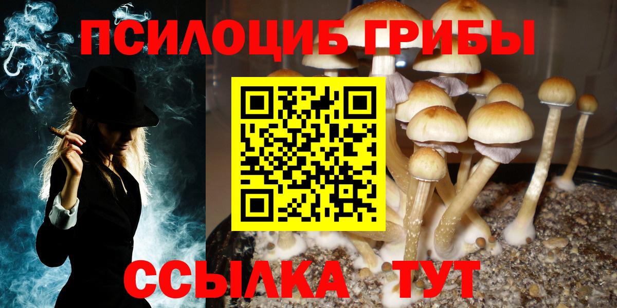 Псилоцибиновые грибы Cubensis Якутск