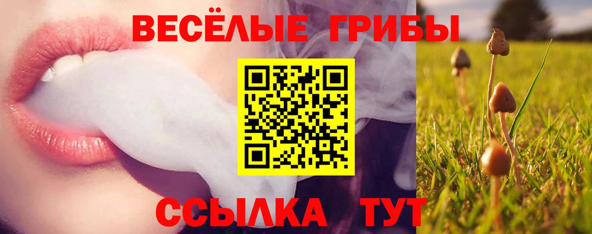 Якутск  Галлюциногенные грибы ЛСД  Вход с VPN 